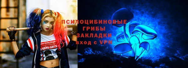 круглые Арсеньев
