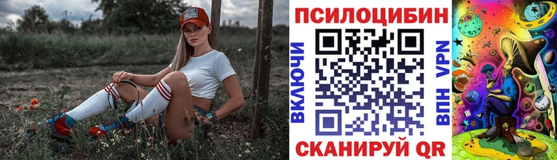 наркотики  Рузаевка  это Telegram  Псилоцибиновые грибы Magic Shrooms 